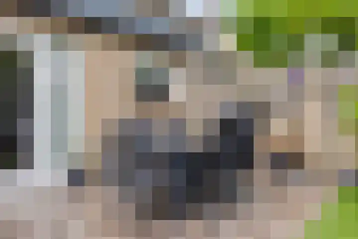 Dokter Nillesenstraat 10 Winssen thumbnail 41