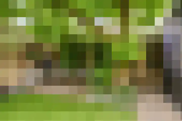 Dokter Nillesenstraat 10 Winssen thumbnail 42