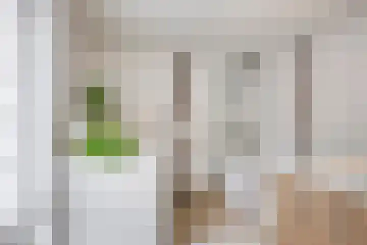 Dokter Nillesenstraat 10 Winssen thumbnail 5