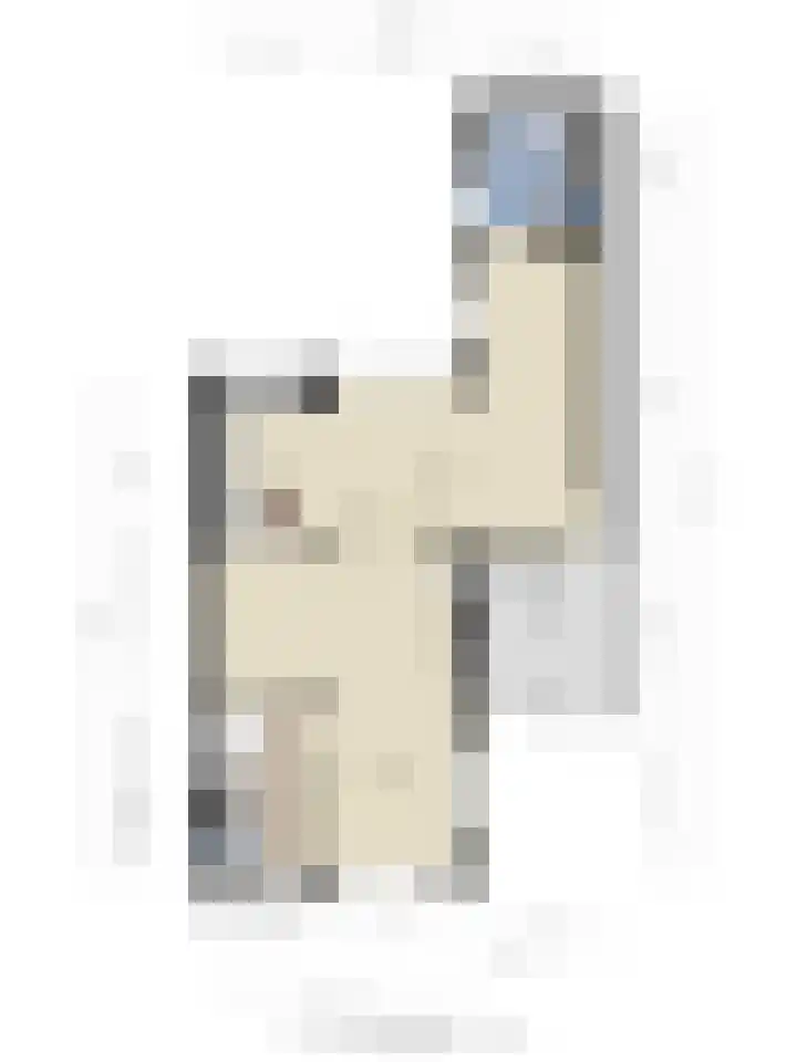 Dokter Nillesenstraat 10 Winssen thumbnail 52
