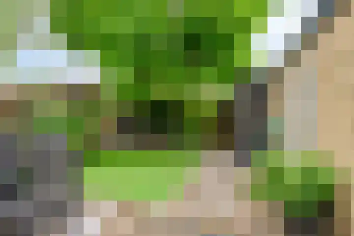 Dokter Nillesenstraat 10 Winssen thumbnail 6