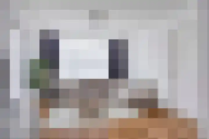 Dokter Nillesenstraat 10 Winssen thumbnail 7
