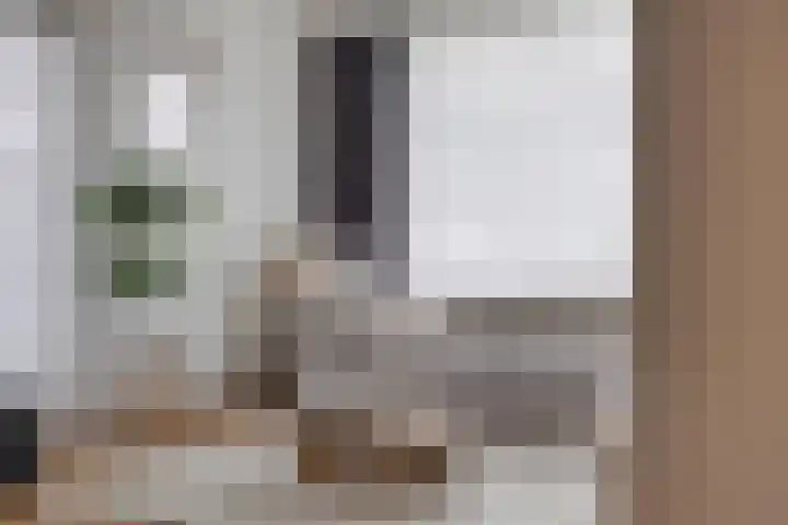 Dokter Nillesenstraat 10 Winssen thumbnail 8