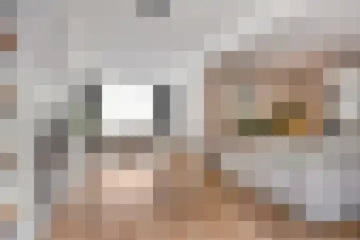 Dokter Nillesenstraat 10 Winssen thumbnail 9