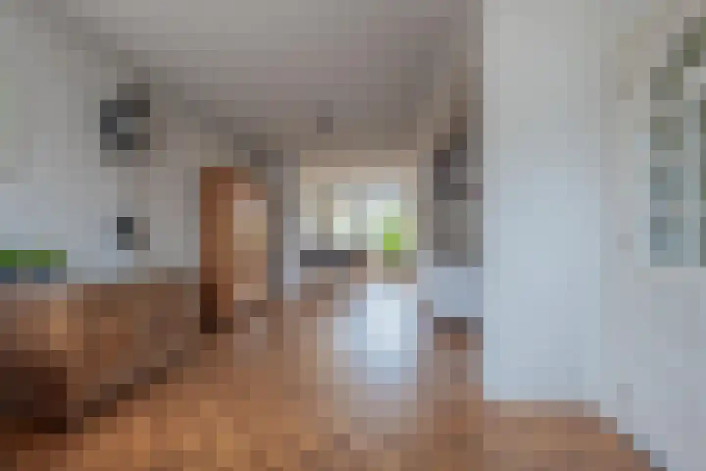Dokter Nillesenstraat 20 Winssen thumbnail 11