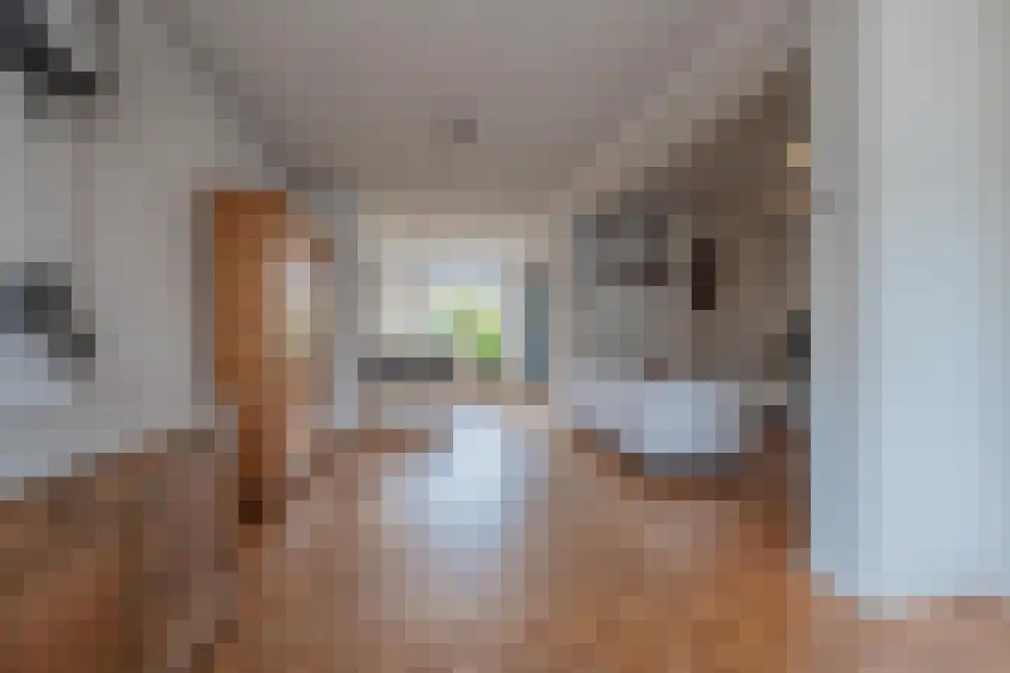 Dokter Nillesenstraat 20 Winssen thumbnail 12