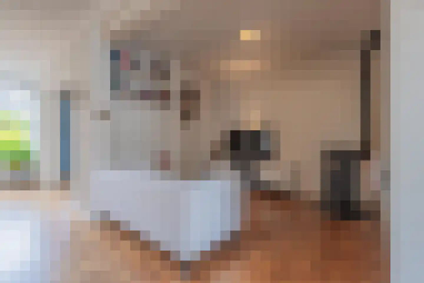 Dokter Nillesenstraat 20 Winssen thumbnail 16