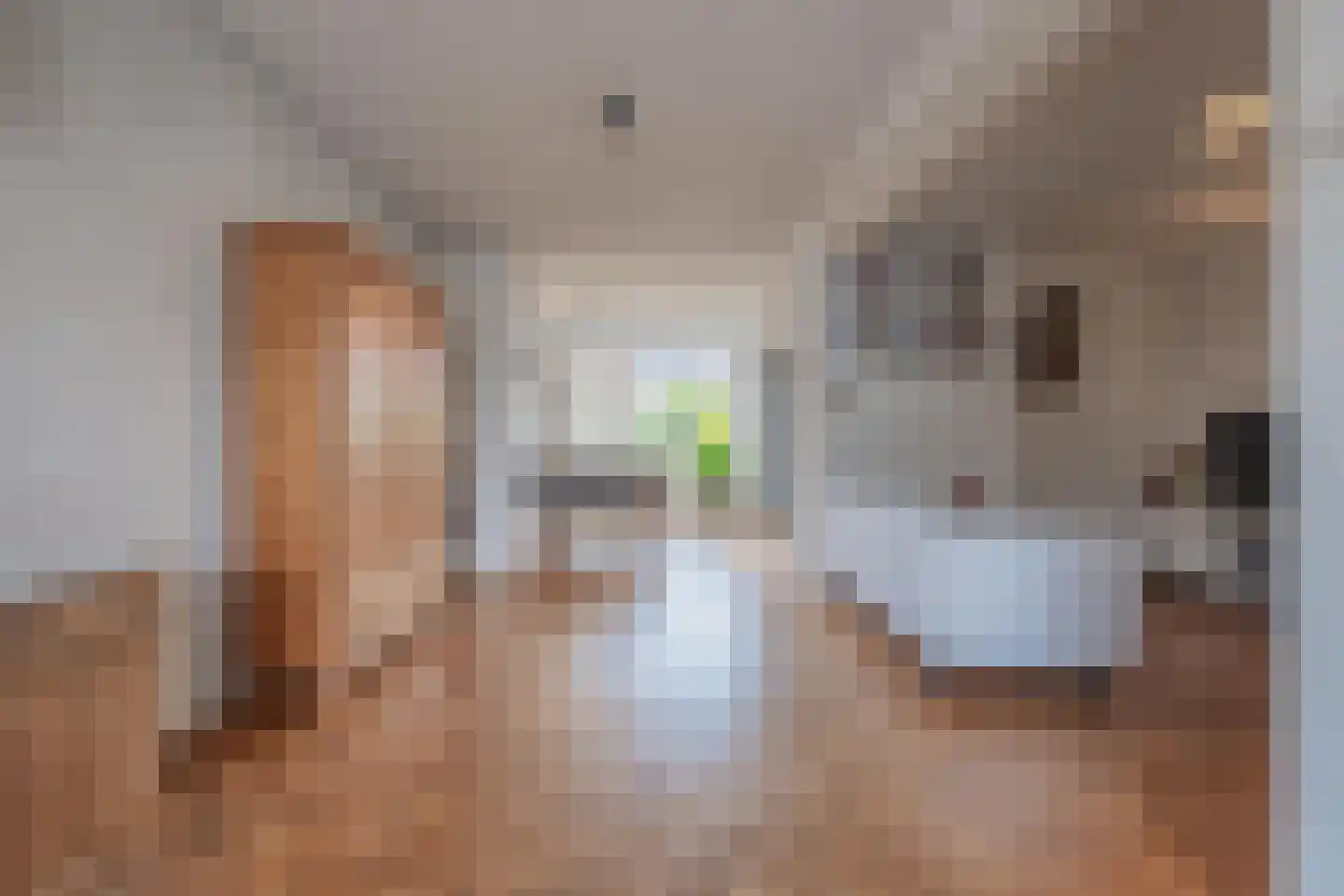 Dokter Nillesenstraat 20 Winssen thumbnail 17