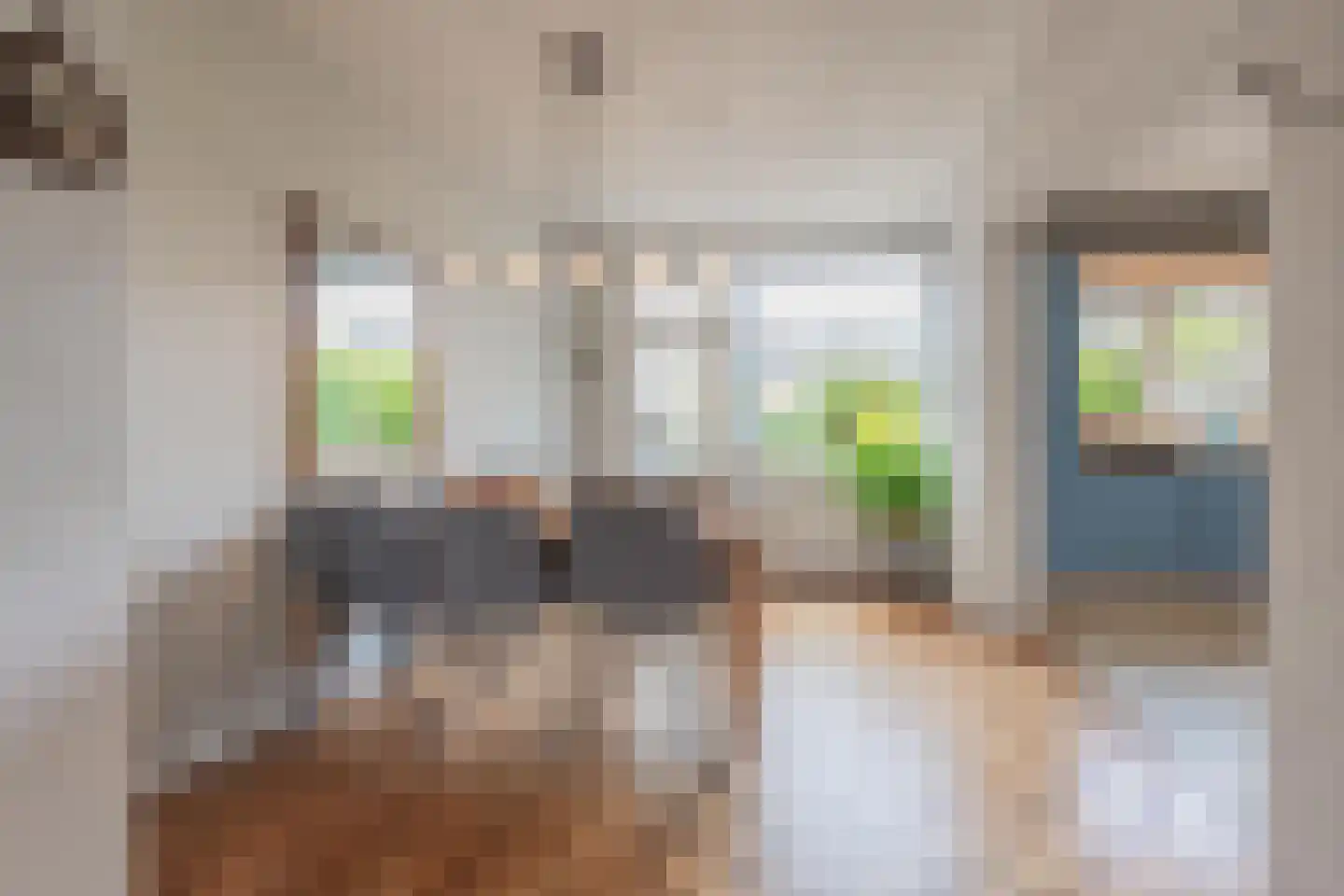 Dokter Nillesenstraat 20 Winssen thumbnail 19
