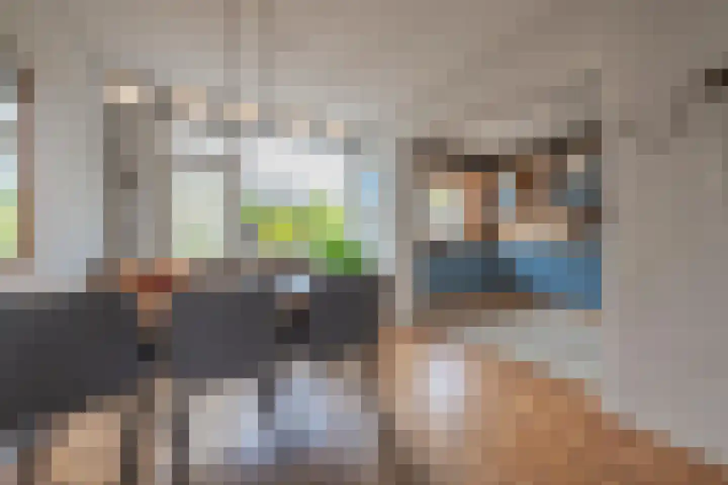 Dokter Nillesenstraat 20 Winssen thumbnail 20