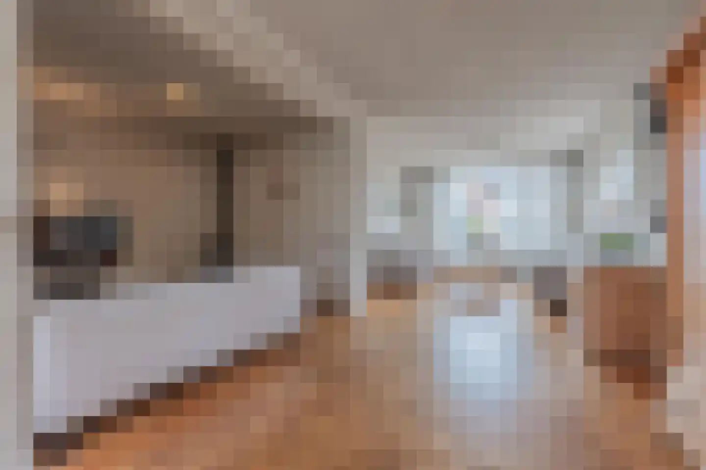 Dokter Nillesenstraat 20 Winssen thumbnail 22
