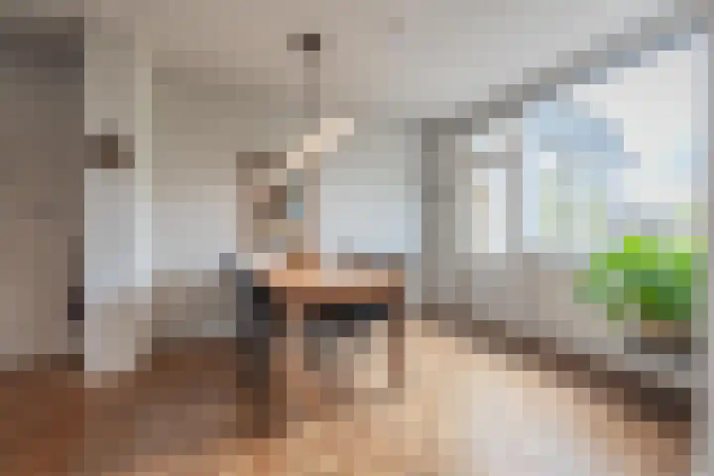 Dokter Nillesenstraat 20 Winssen thumbnail 24