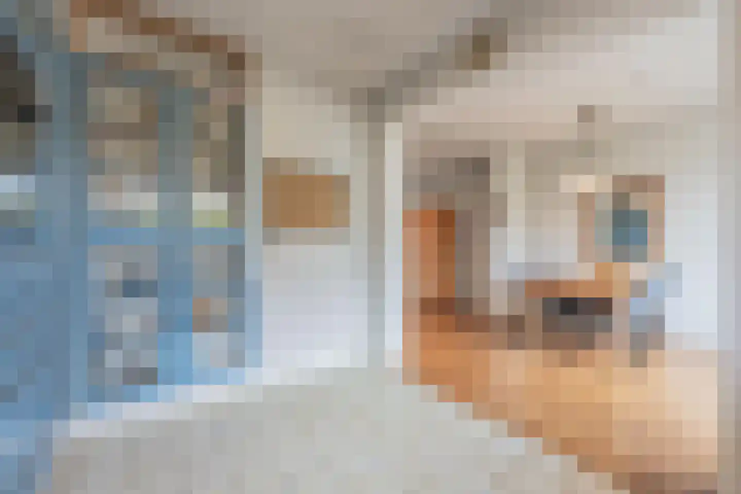 Dokter Nillesenstraat 20 Winssen thumbnail 32