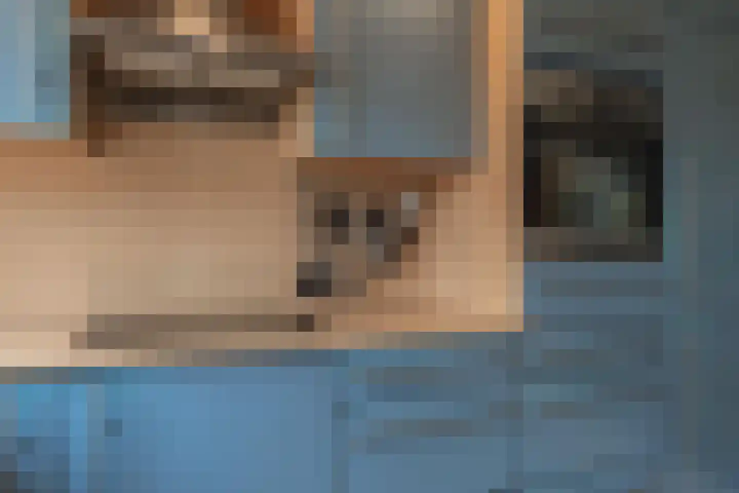 Dokter Nillesenstraat 20 Winssen thumbnail 35