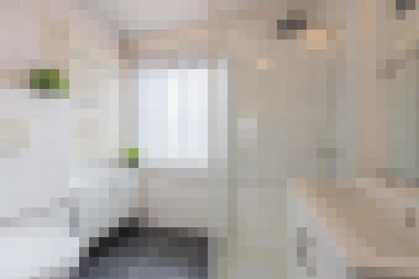 Dokter Nillesenstraat 20 Winssen thumbnail 51
