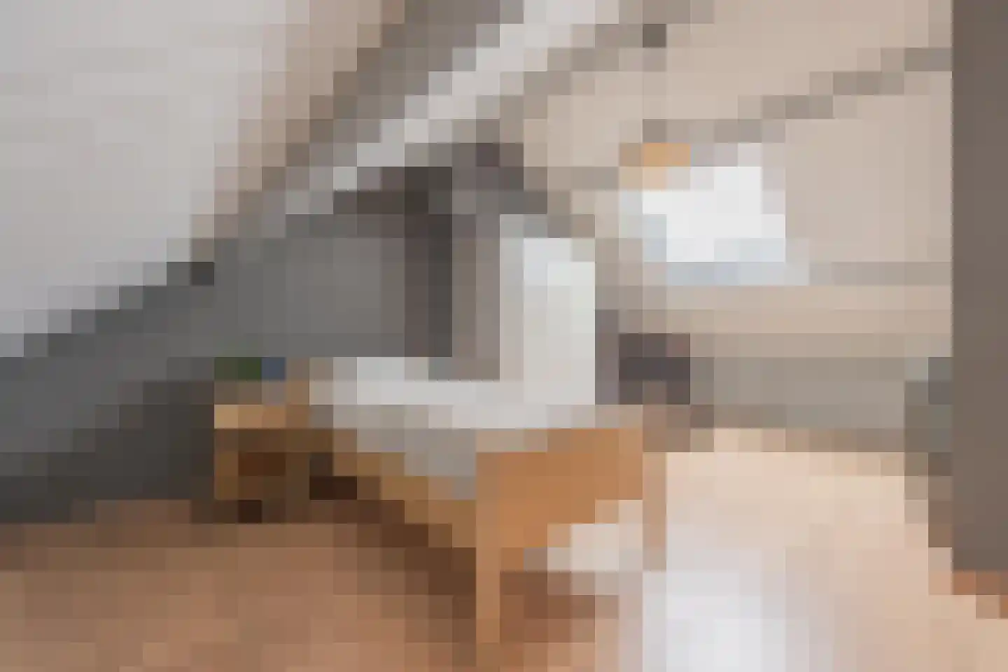 Dokter Nillesenstraat 20 Winssen thumbnail 59