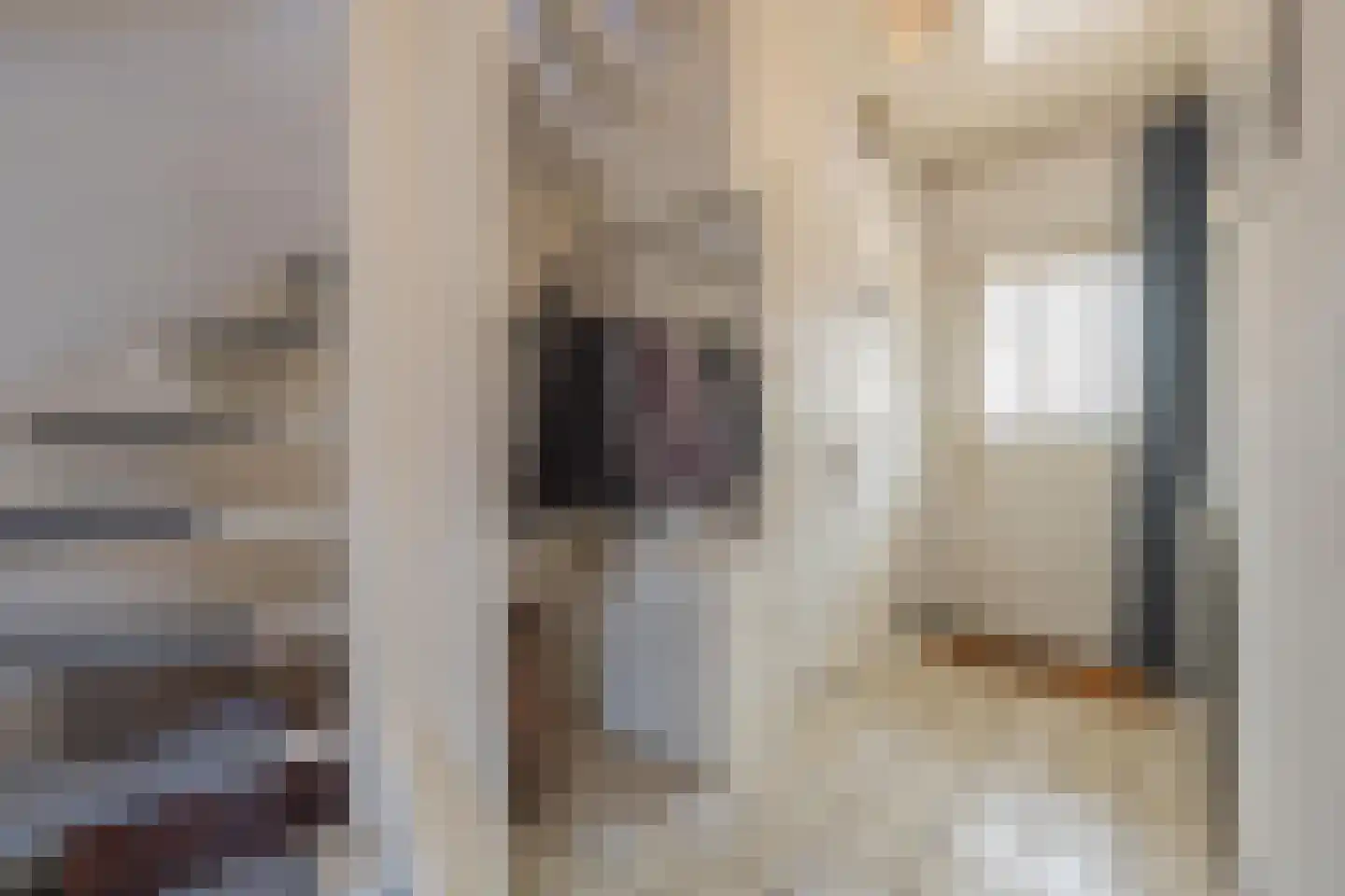 Dokter Nillesenstraat 20 Winssen thumbnail 6