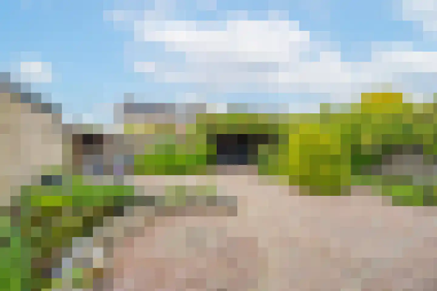 Dokter Nillesenstraat 20 Winssen thumbnail 61
