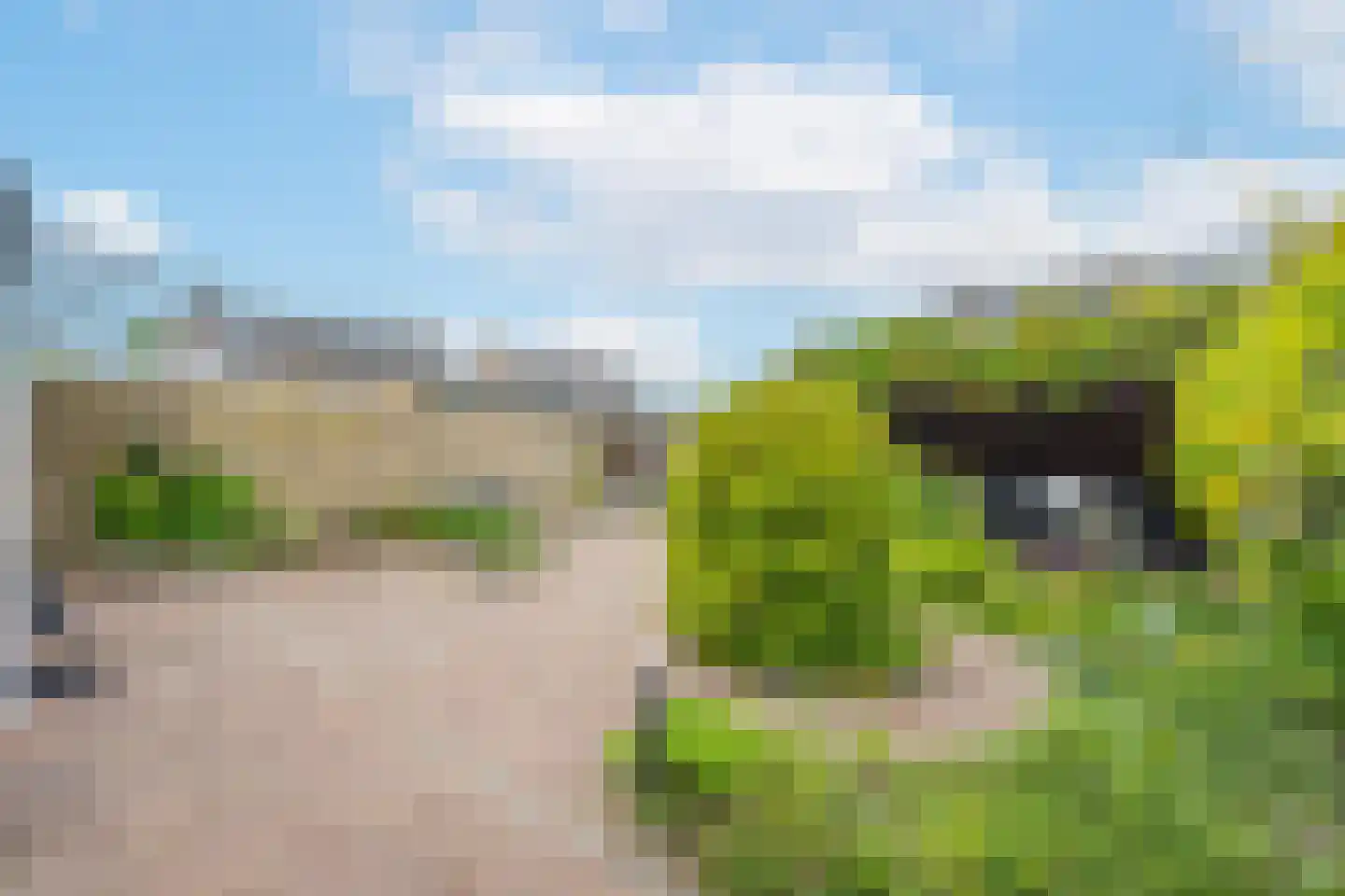 Dokter Nillesenstraat 20 Winssen thumbnail 63