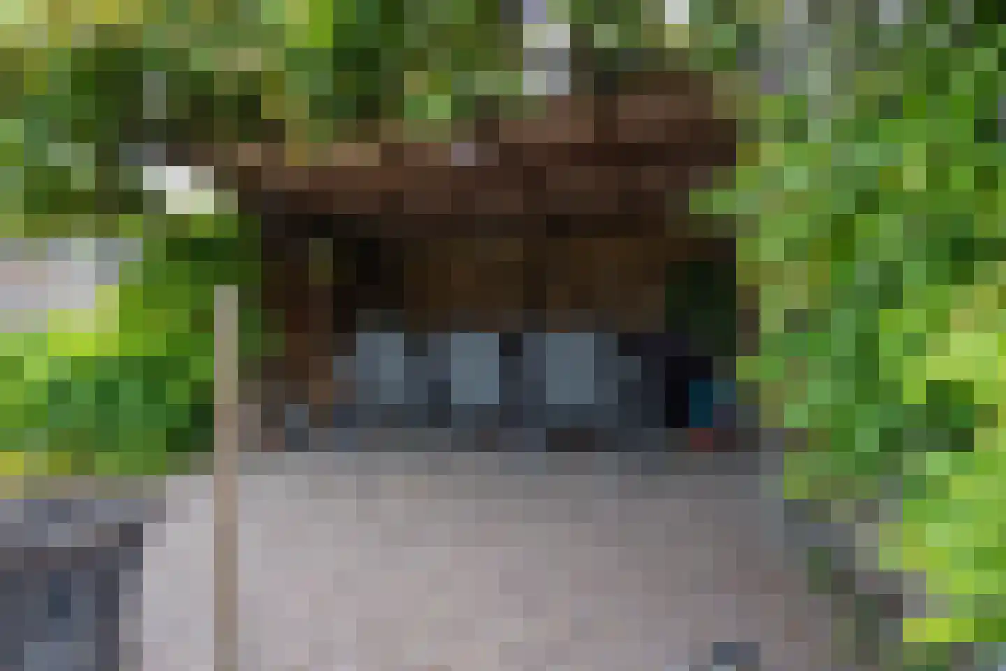 Dokter Nillesenstraat 20 Winssen thumbnail 64
