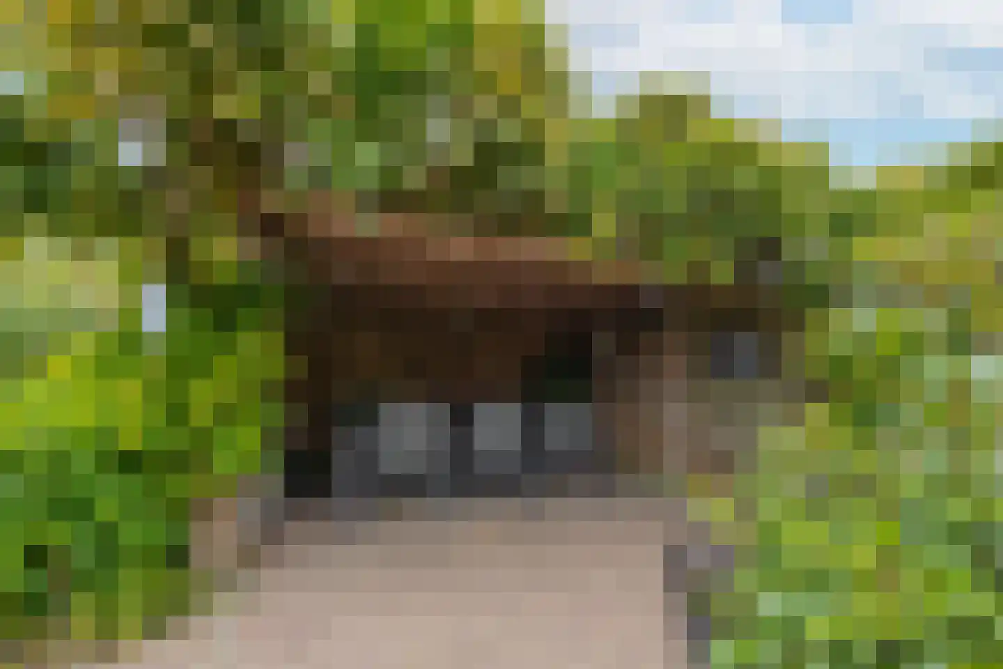 Dokter Nillesenstraat 20 Winssen thumbnail 68