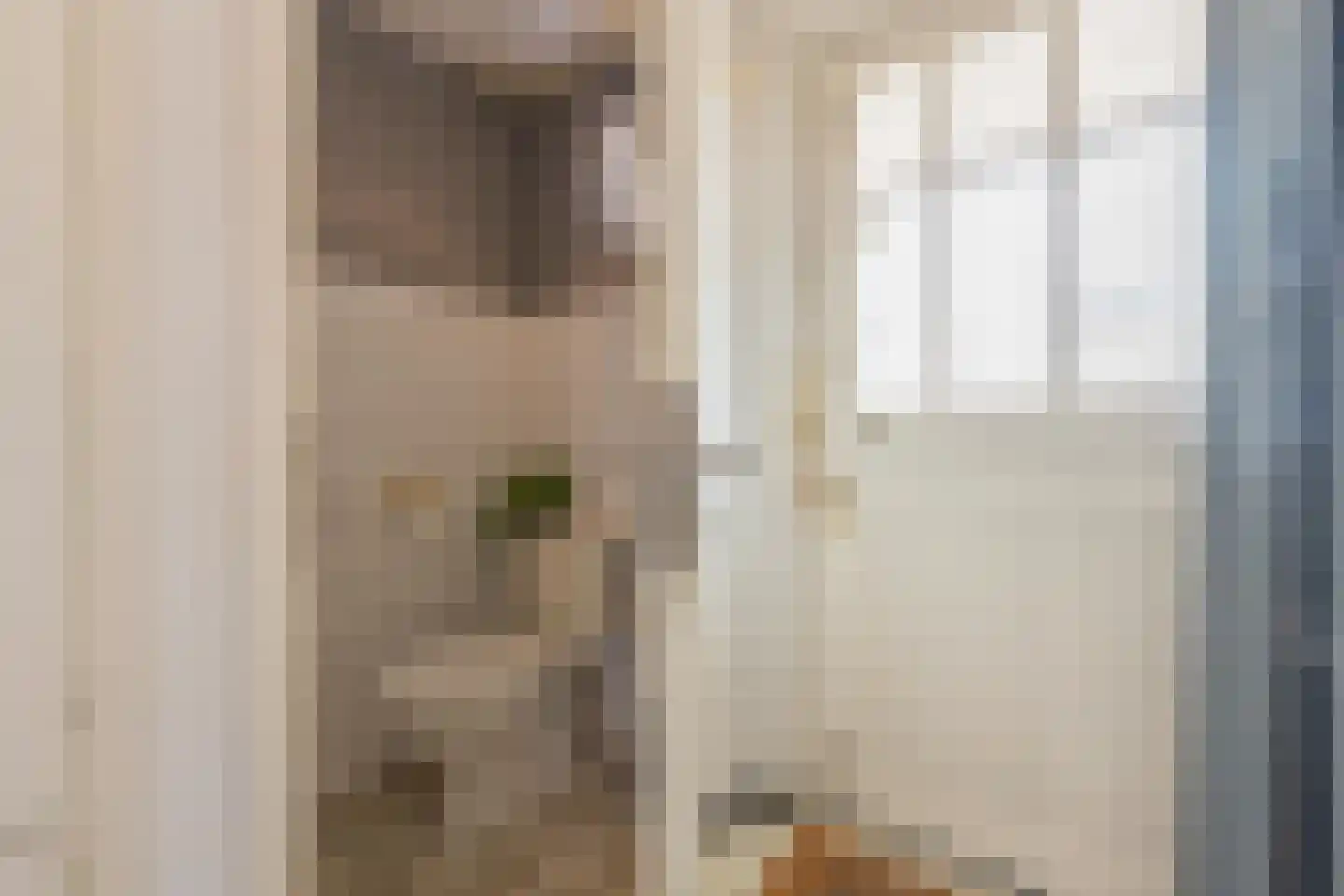 Dokter Nillesenstraat 20 Winssen thumbnail 7