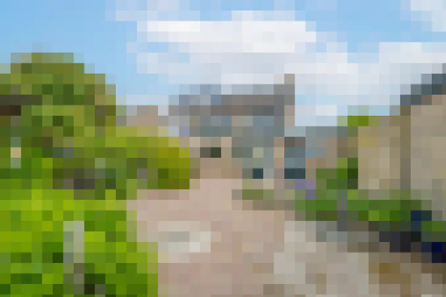 Dokter Nillesenstraat 20 Winssen thumbnail 70