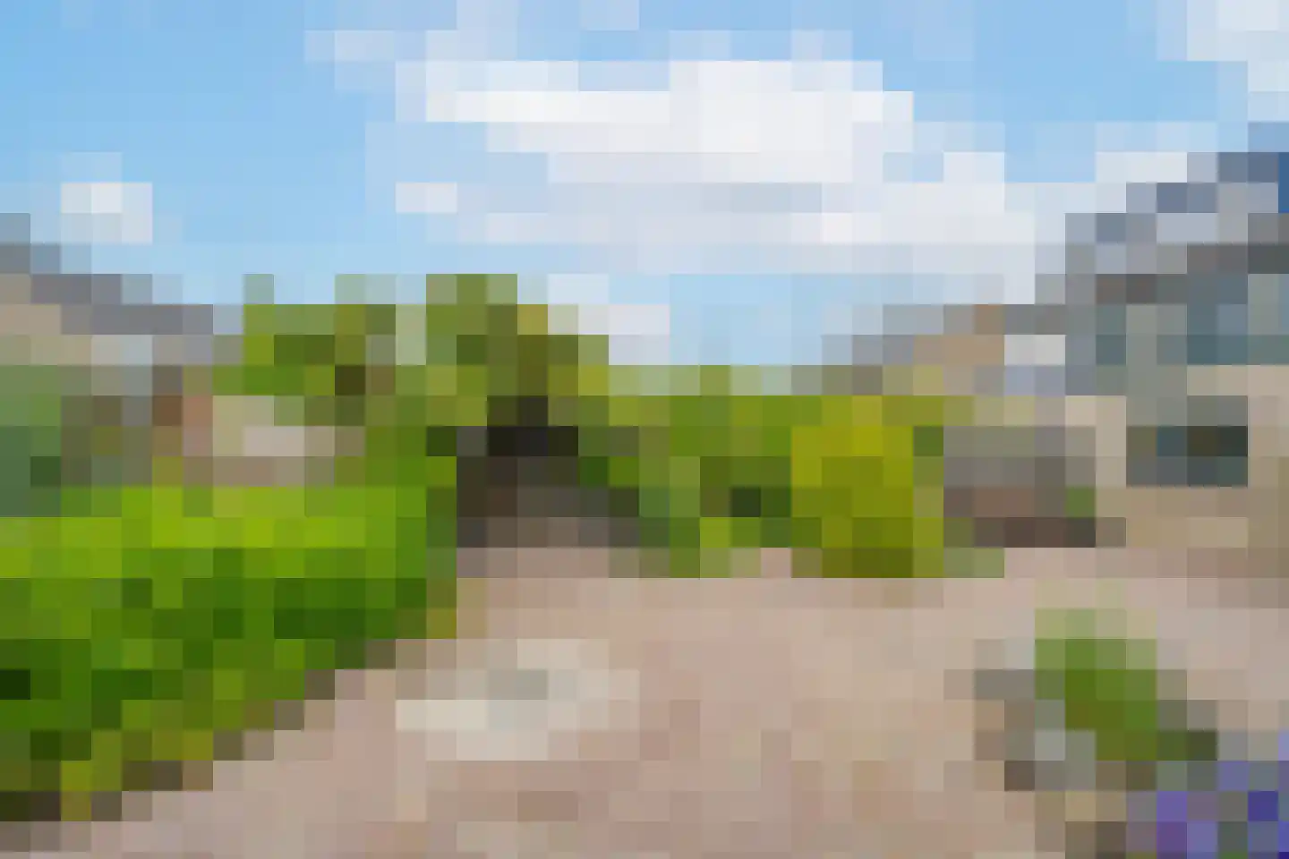 Dokter Nillesenstraat 20 Winssen thumbnail 71