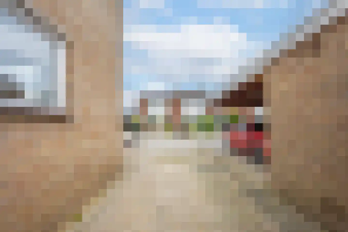 Dokter Nillesenstraat 20 Winssen thumbnail 75