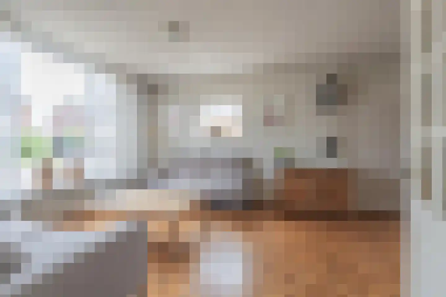 Dokter Nillesenstraat 20 Winssen thumbnail 8