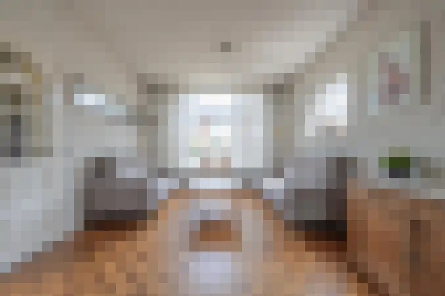 Dokter Nillesenstraat 20 Winssen thumbnail 9