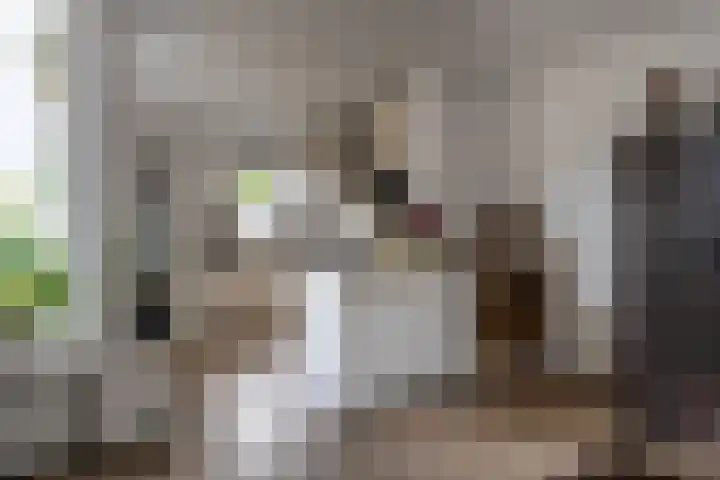 Dokter Oosteromstraat 16 Andel thumbnail 11
