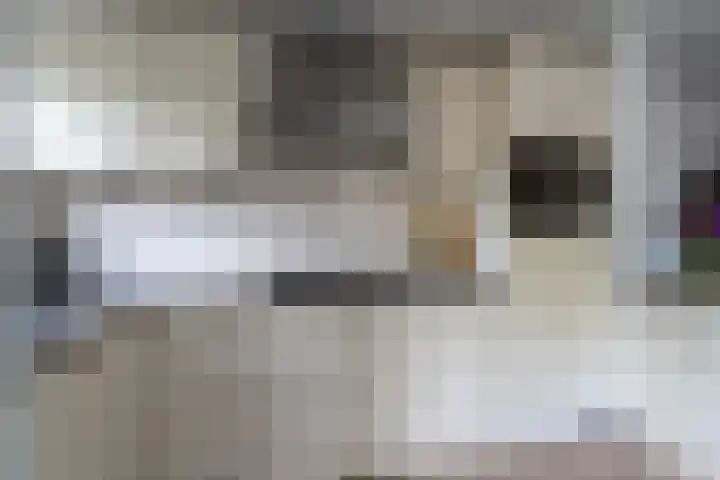 Dokter Oosteromstraat 16 Andel thumbnail 13