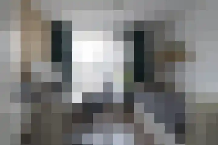 Dokter Oosteromstraat 16 Andel thumbnail 20