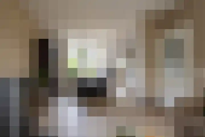 Dokter Oosteromstraat 16 Andel thumbnail 8