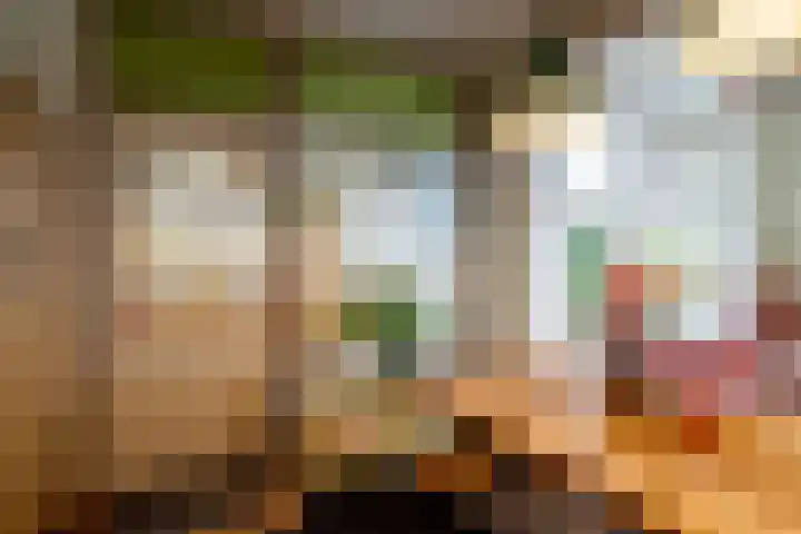 Dokter Oosteromstraat 18 Andel thumbnail 11