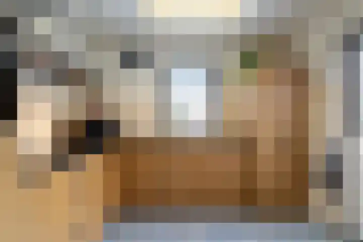 Dokter Oosteromstraat 18 Andel thumbnail 12