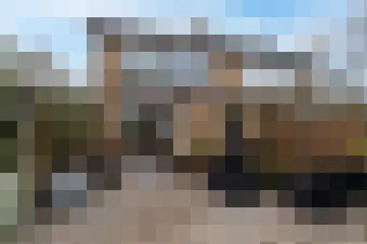 Dokter Oosteromstraat 18 Andel thumbnail 25