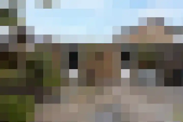 Dokter Oosteromstraat 18 Andel thumbnail 27
