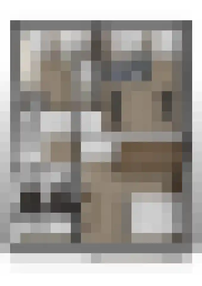 Dokter Oosteromstraat 18 Andel thumbnail 32
