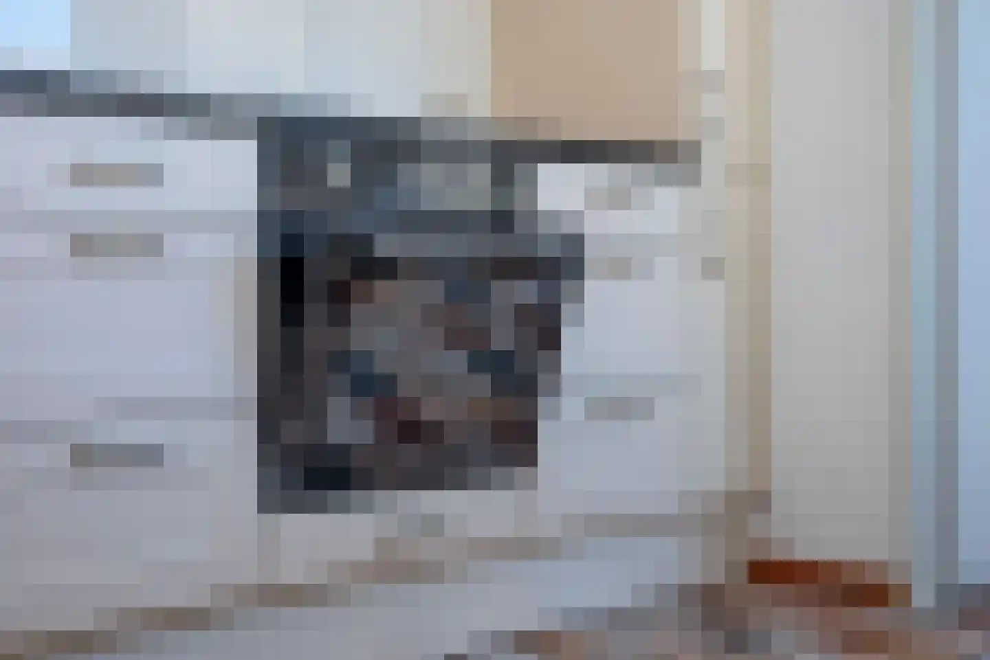 Dokter Panhuijsenstraat 15 Borne thumbnail 14