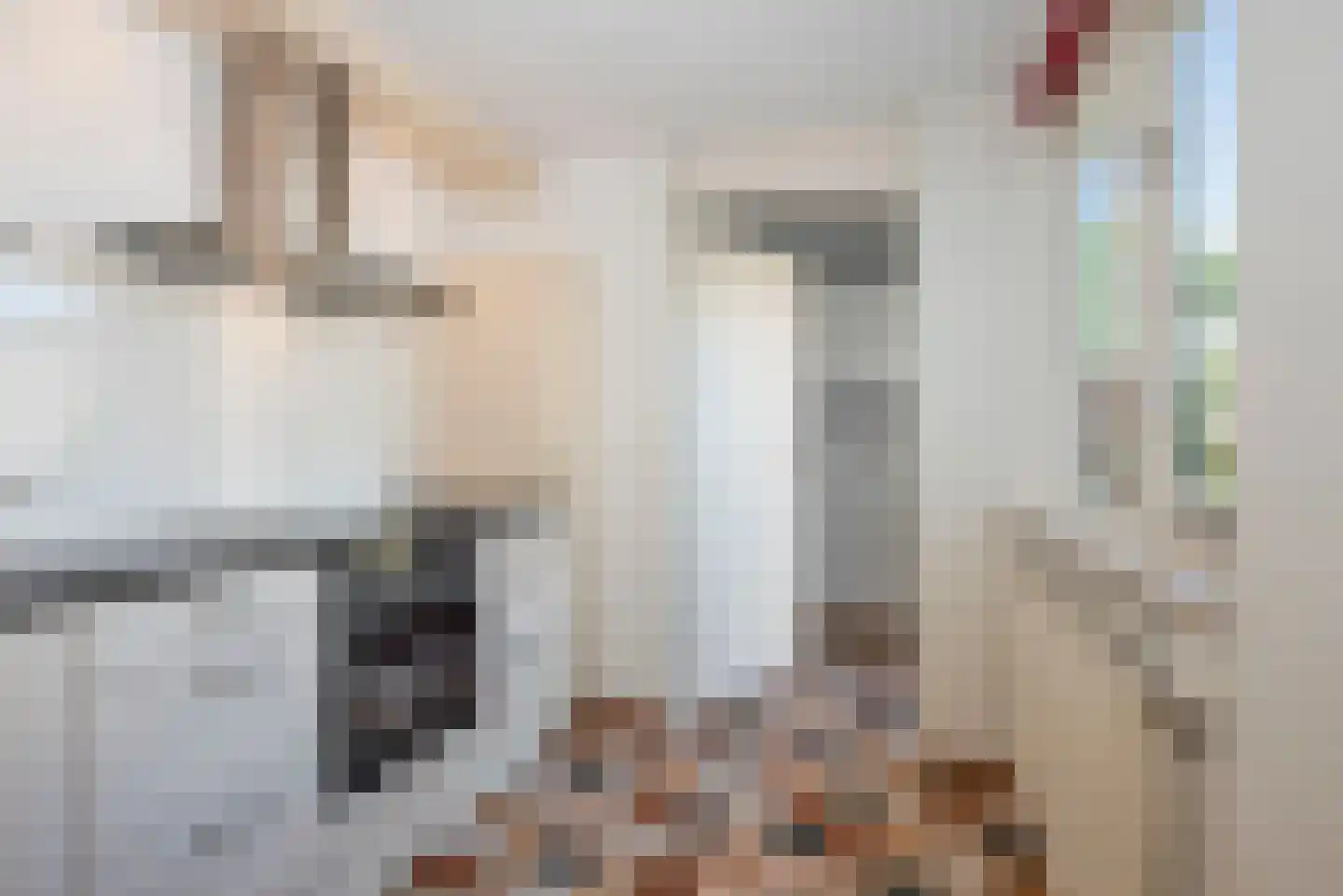 Dokter Panhuijsenstraat 15 Borne thumbnail 15
