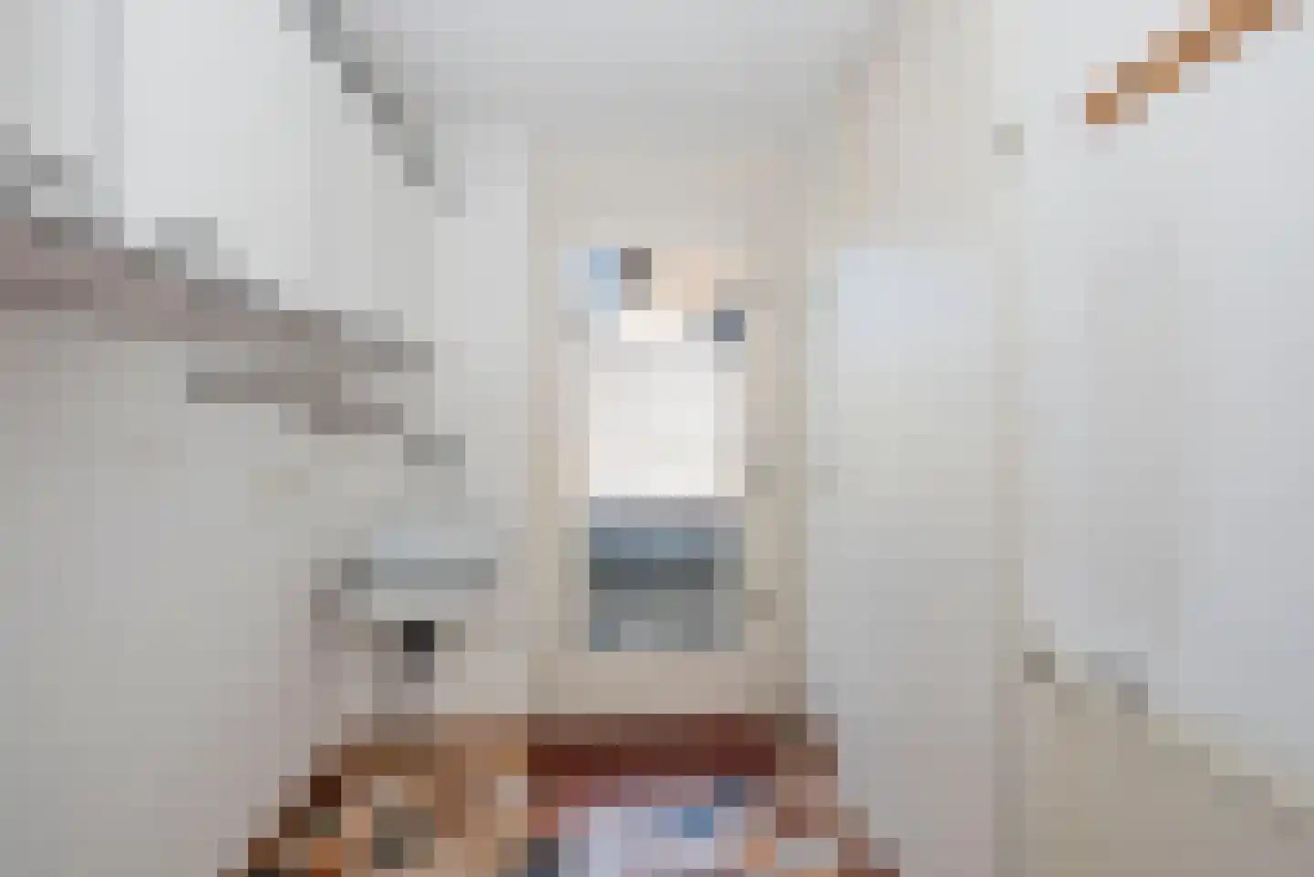 Dokter Panhuijsenstraat 15 Borne thumbnail 16