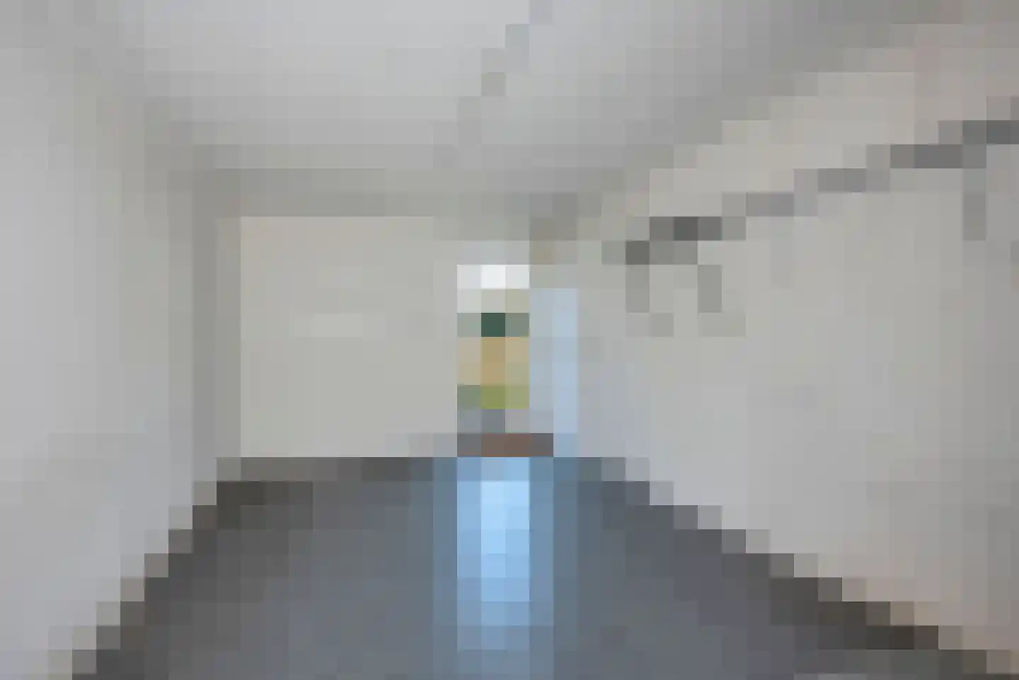Dokter Panhuijsenstraat 15 Borne thumbnail 17