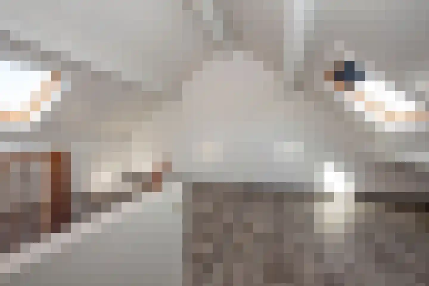 Dokter Panhuijsenstraat 15 Borne thumbnail 32