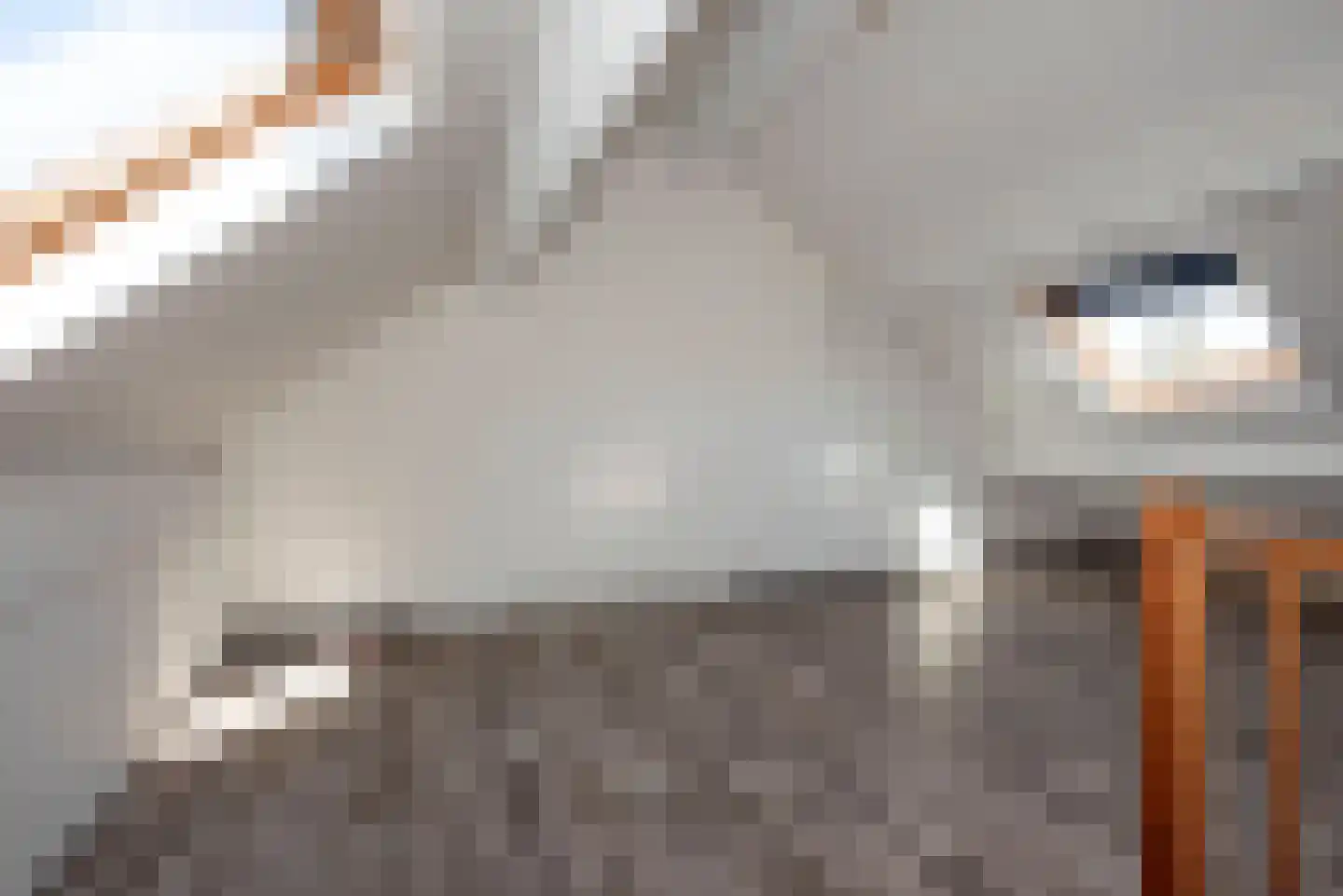 Dokter Panhuijsenstraat 15 Borne thumbnail 33