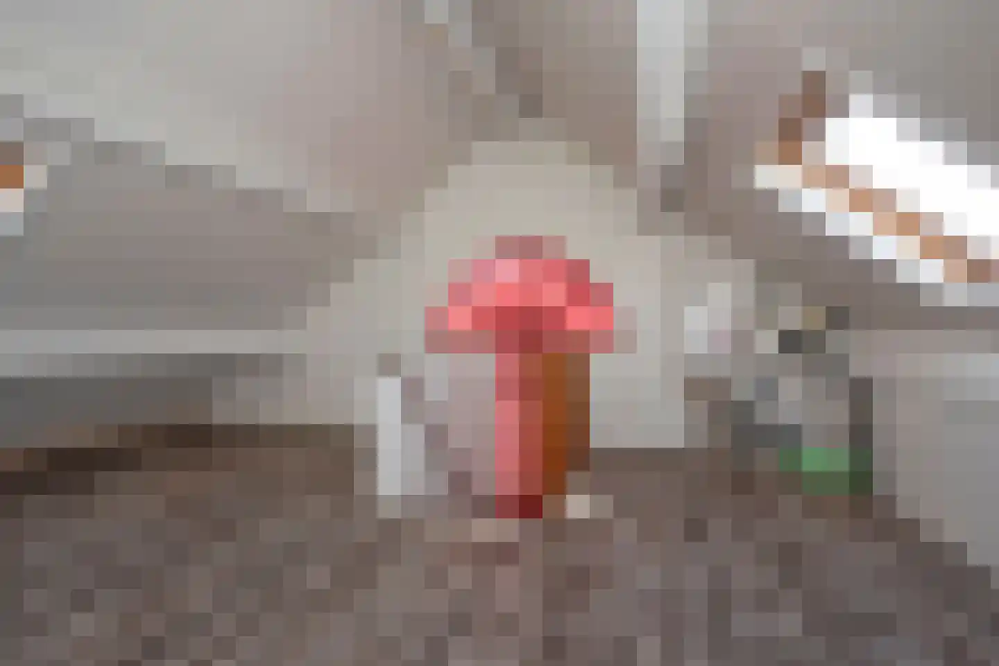 Dokter Panhuijsenstraat 15 Borne thumbnail 34