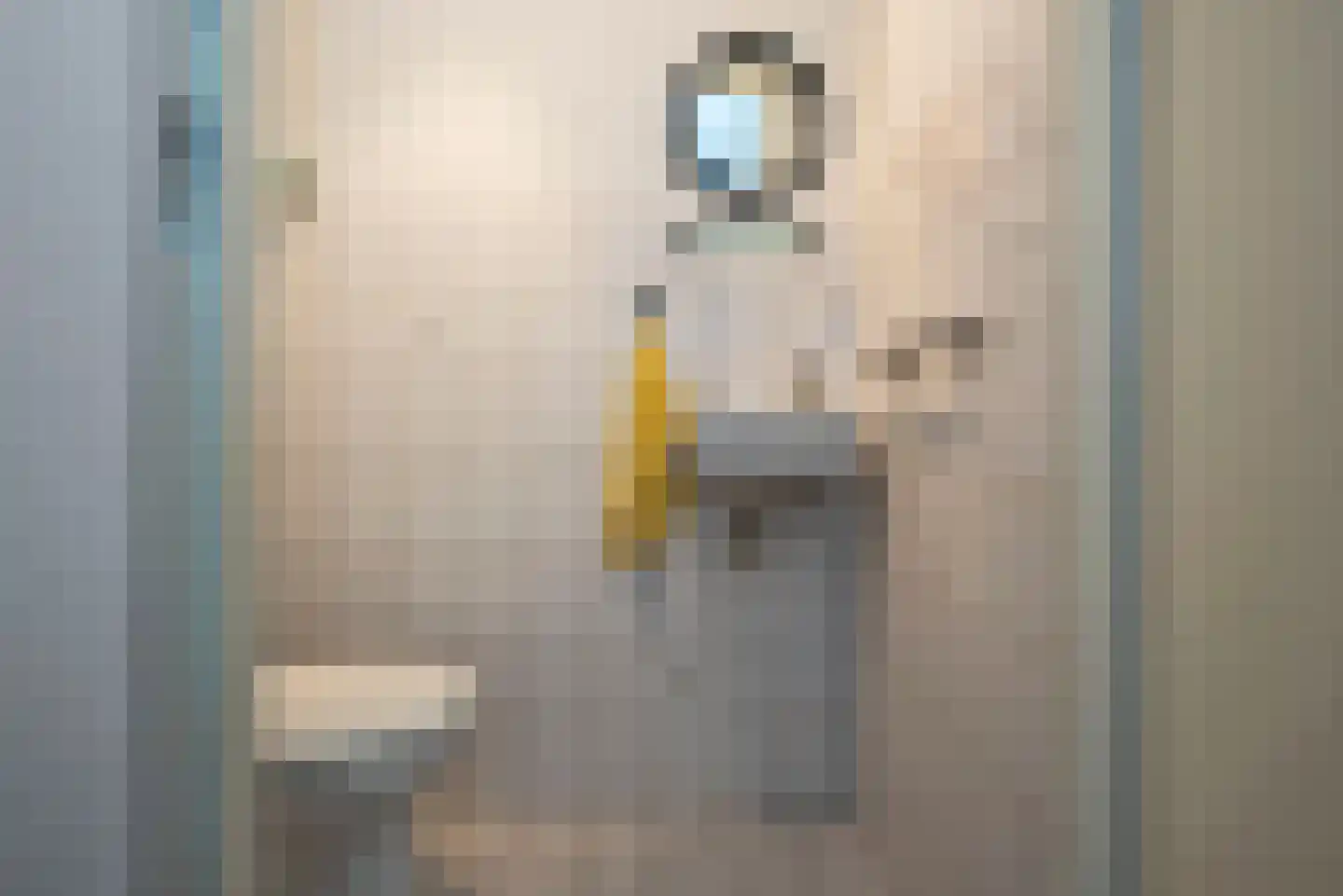 Dokter Panhuijsenstraat 15 Borne thumbnail 8