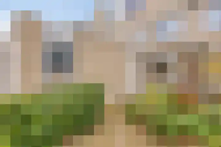 Dokter Perquinstraat 17 Leidschendam thumbnail 13