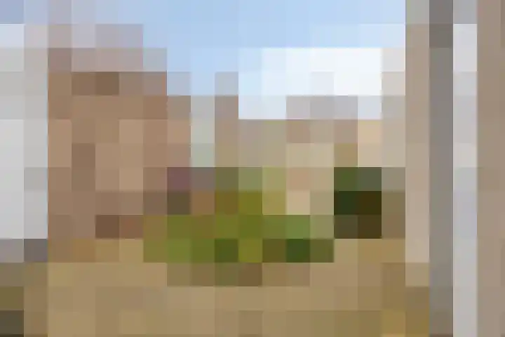 Dokter Perquinstraat 17 Leidschendam thumbnail 14